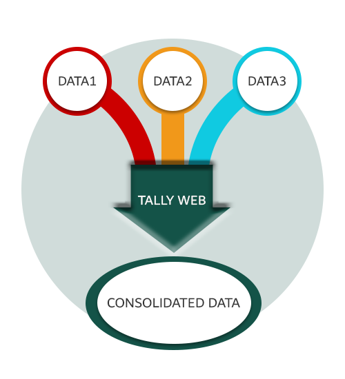 consolidate multiple Tally ERP data 