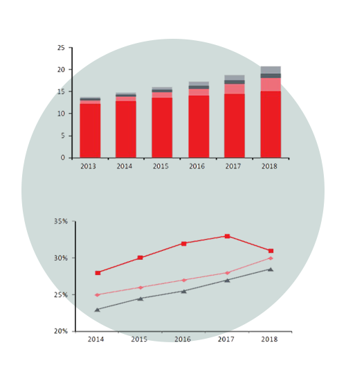 raw financial figures and derive conclusions on tally web