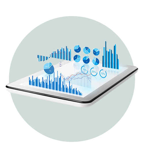 Tally Web displays all data as graphs, charts, sheets etc.