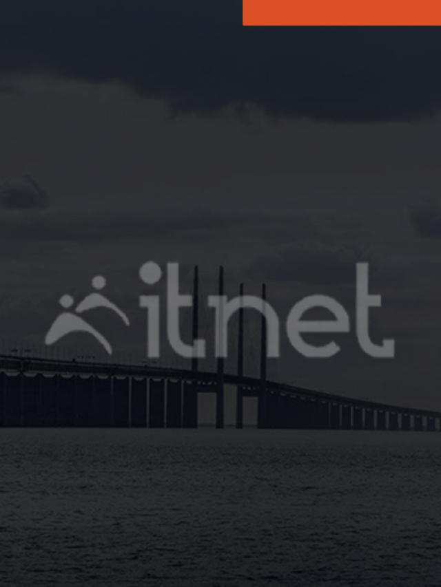 Game-Changing Features of ItNet for Talent Management