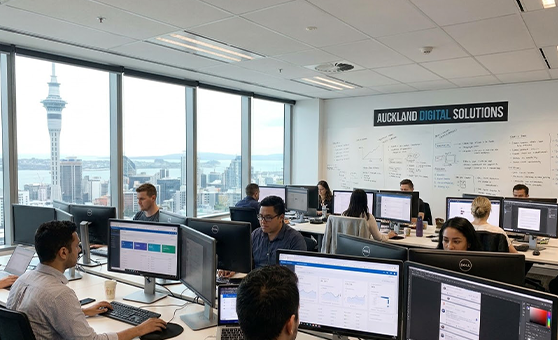 Auckland Digital Marketing