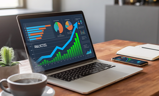 SEO Analytics